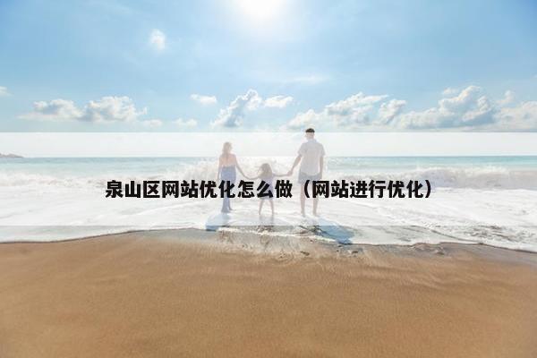 泉山区网站优化怎么做（网站进行优化）