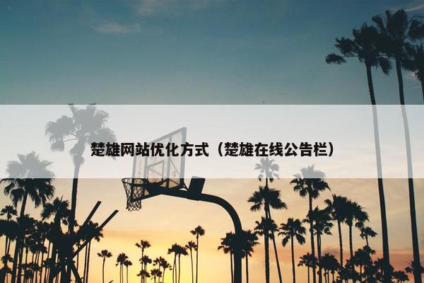 楚雄网站优化方式（楚雄在线公告栏）