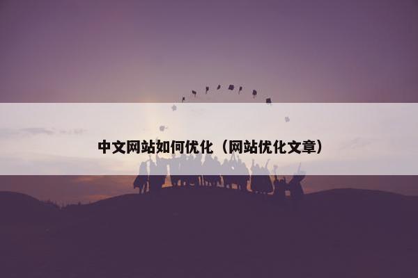 中文网站如何优化（网站优化文章）