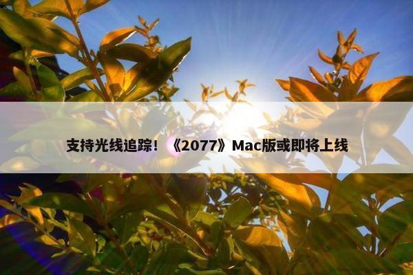 支持光线追踪！《2077》Mac版或即将上线