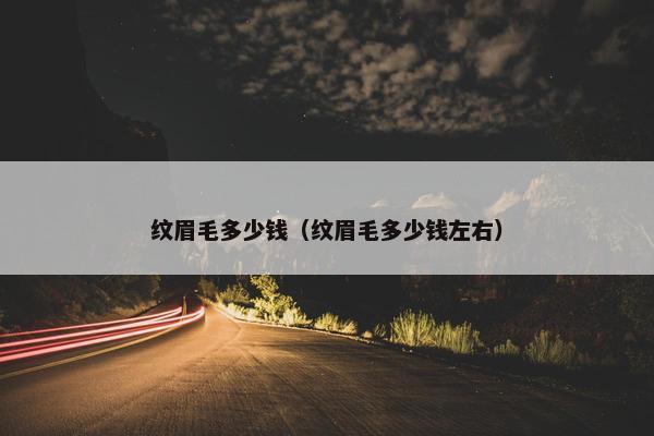 纹眉毛多少钱（纹眉毛多少钱左右）