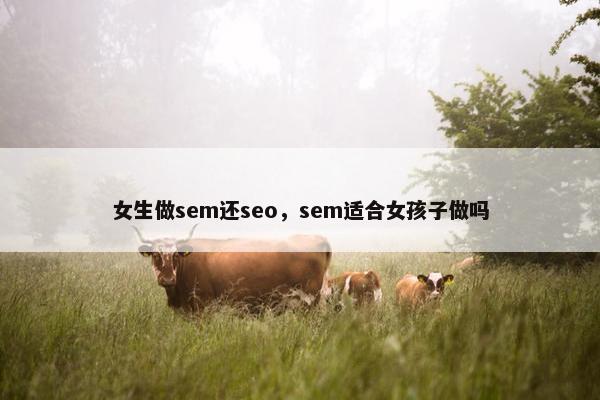 女生做sem还seo，sem适合女孩子做吗