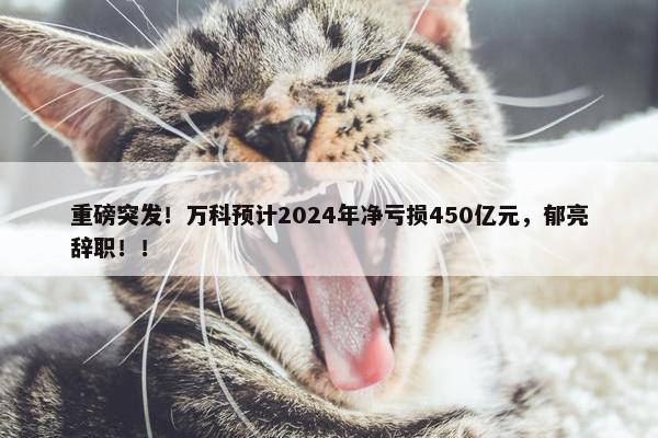 重磅突发！万科预计2024年净亏损450亿元，郁亮辞职！！