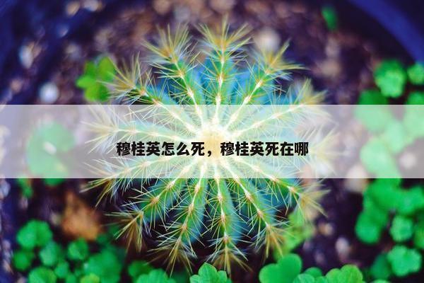 穆桂英怎么死，穆桂英死在哪