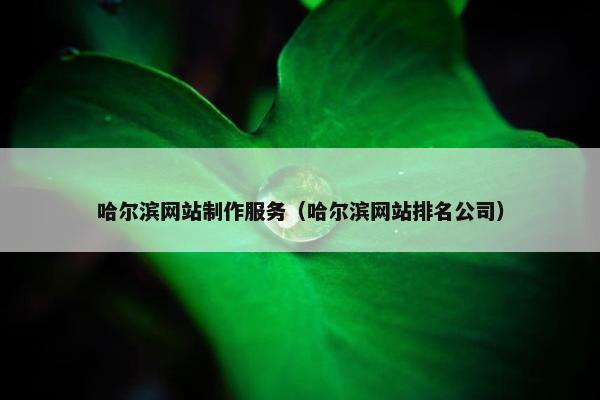 哈尔滨网站制作服务（哈尔滨网站排名公司）