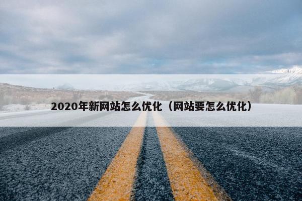 2020年新网站怎么优化（网站要怎么优化）