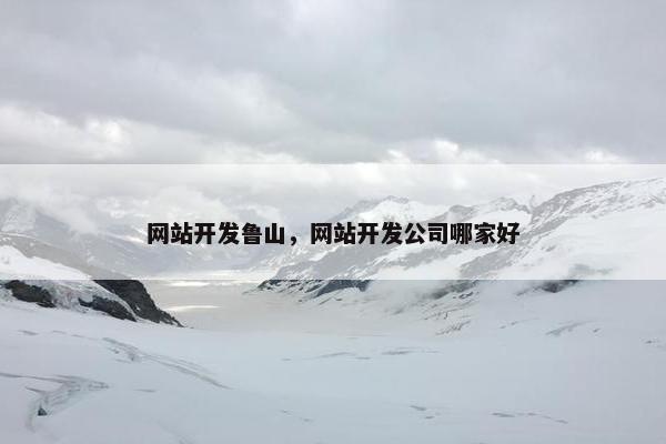 网站开发鲁山，网站开发公司哪家好