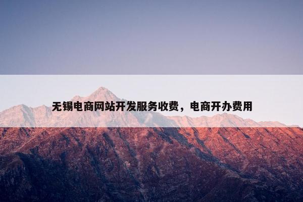 无锡电商网站开发服务收费，电商开办费用