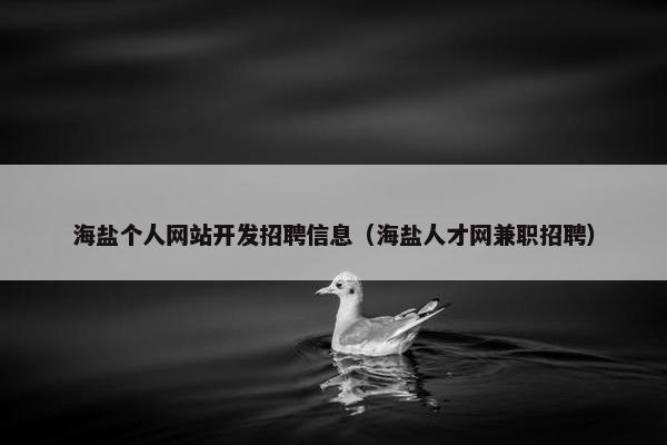 海盐个人网站开发招聘信息（海盐人才网兼职招聘）