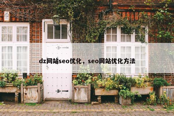 dz网站seo优化，seo网站优化方法