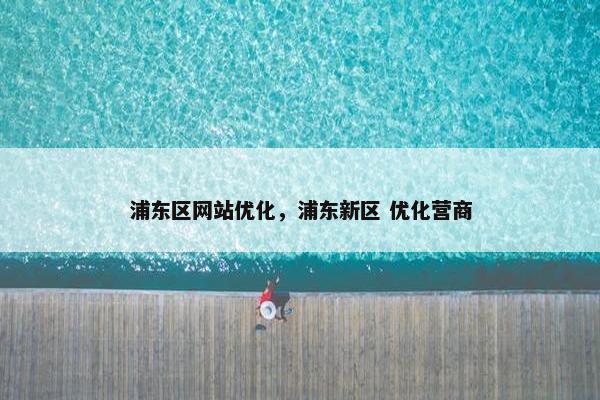 浦东区网站优化，浦东新区 优化营商