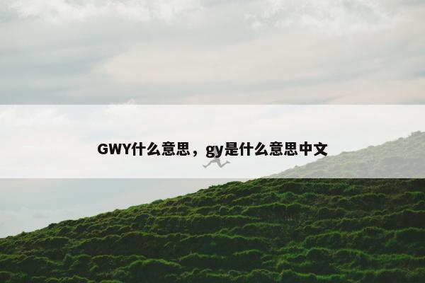 GWY什么意思，gy是什么意思中文