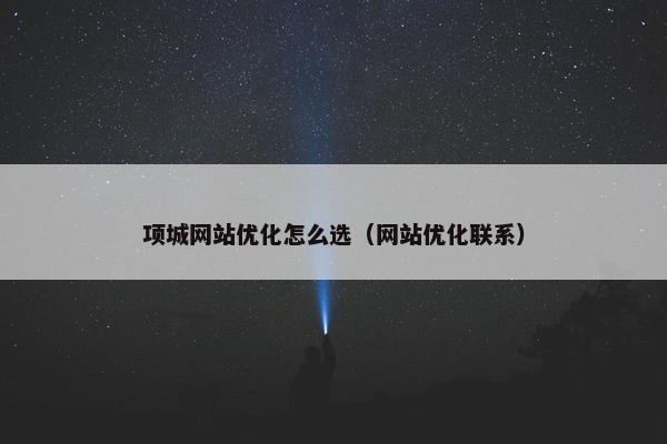 项城网站优化怎么选（网站优化联系）