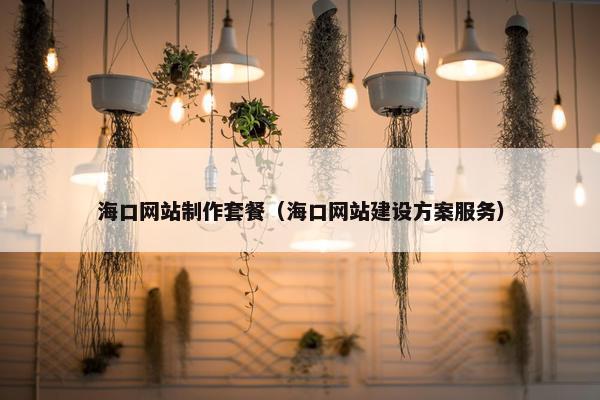 海口网站制作套餐（海口网站建设方案服务）