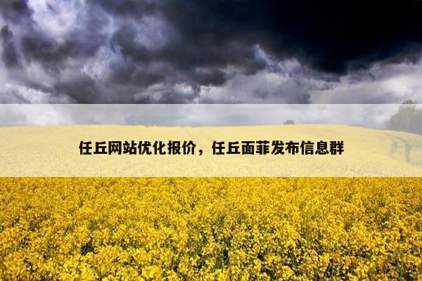 任丘网站优化报价，任丘面菲发布信息群