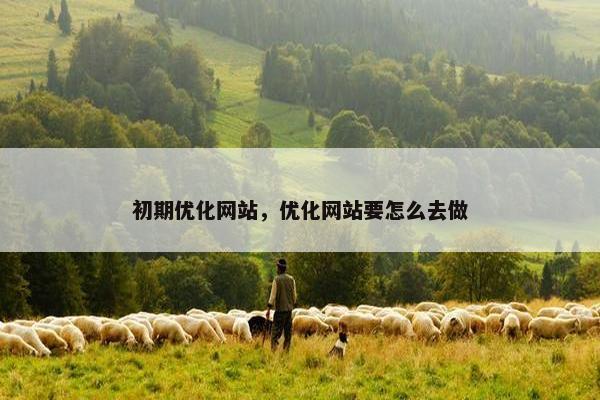 初期优化网站，优化网站要怎么去做