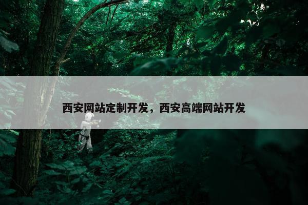 西安网站定制开发，西安高端网站开发