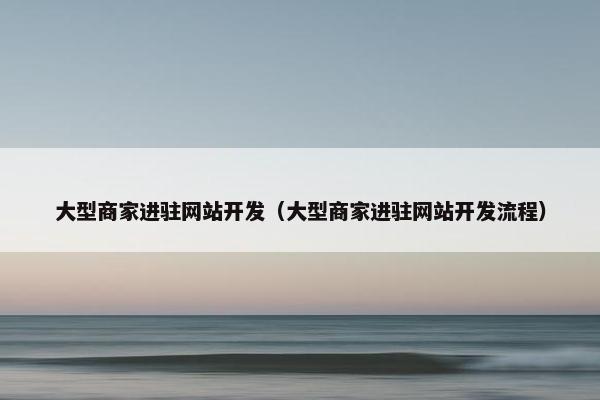 大型商家进驻网站开发（大型商家进驻网站开发流程）