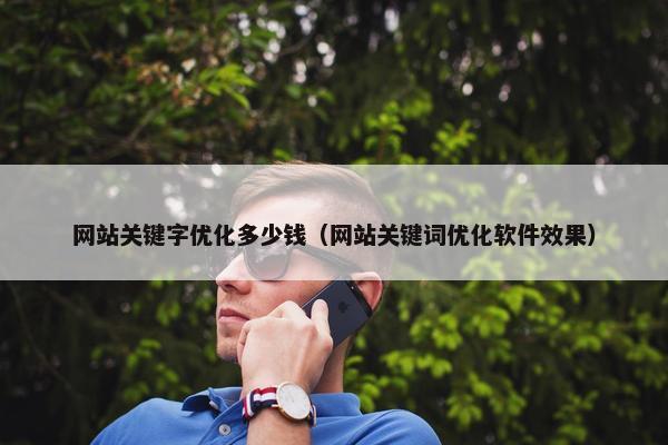 网站关键字优化多少钱（网站关键词优化软件效果）