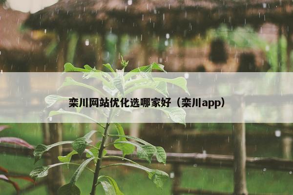 栾川网站优化选哪家好（栾川app）