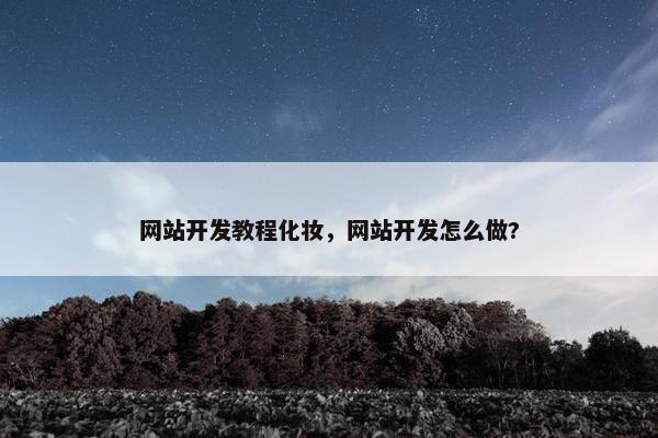 网站开发教程化妆，网站开发怎么做?