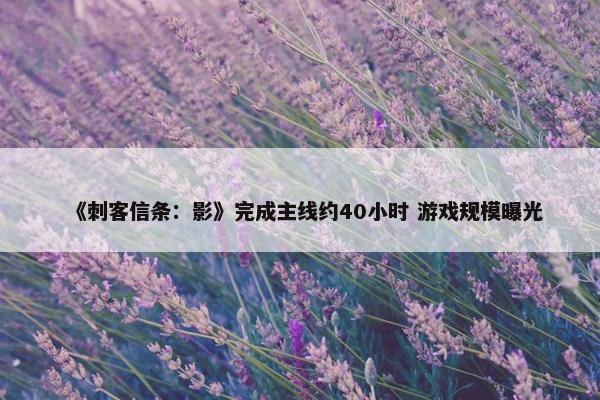 《刺客信条：影》完成主线约40小时 游戏规模曝光