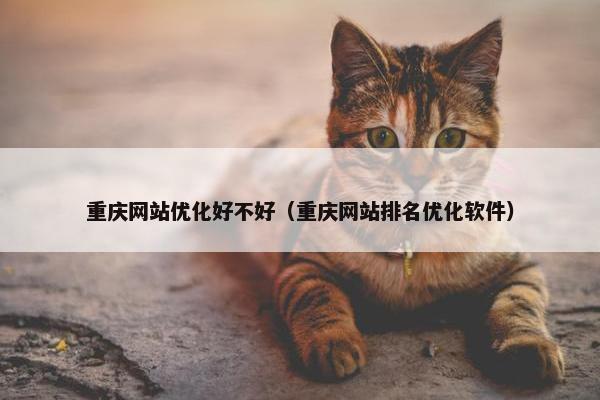 重庆网站优化好不好（重庆网站排名优化软件）