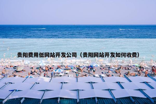 贵阳费用低网站开发公司（贵阳网站开发如何收费）