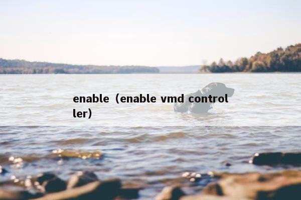 enable（enable vmd controller）