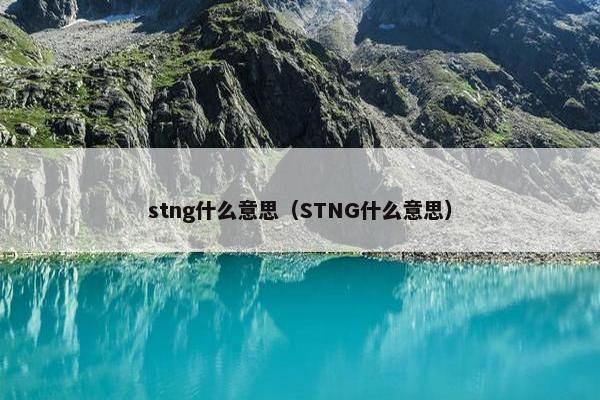 stng什么意思（STNG什么意思）