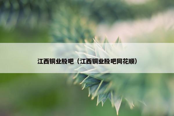 江西铜业股吧（江西铜业股吧同花顺）