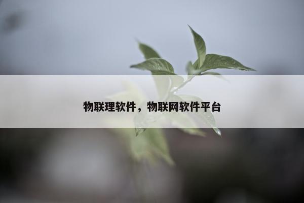 物联理软件，物联网软件平台