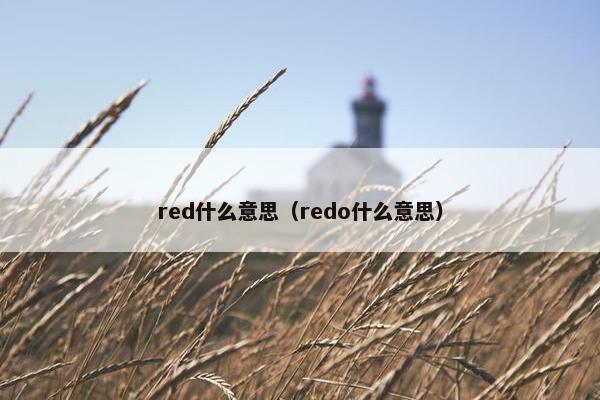 red什么意思（redo什么意思）