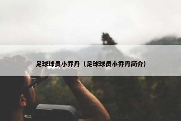 足球球员小乔丹（足球球员小乔丹简介）