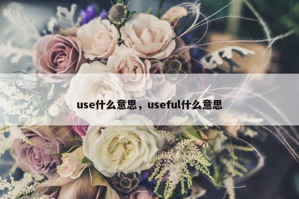 use什么意思，useful什么意思