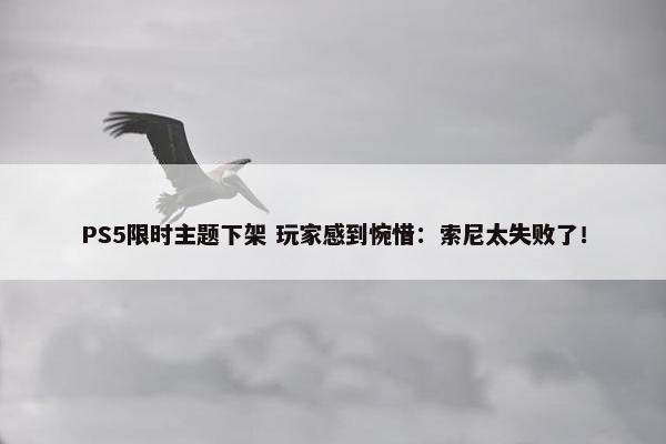 PS5限时主题下架 玩家感到惋惜：索尼太失败了！