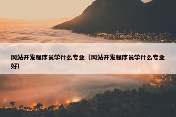 网站开发程序员学什么专业（网站开发程序员学什么专业好）