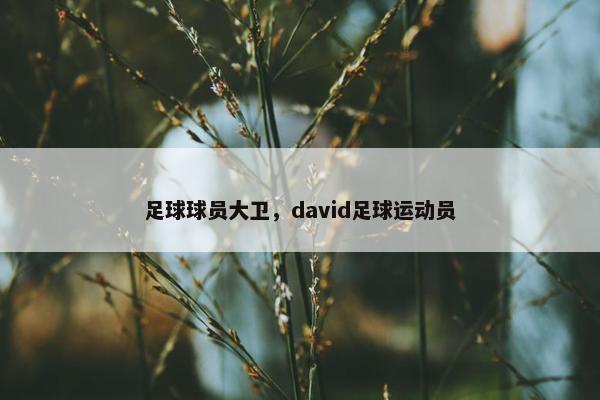 足球球员大卫，david足球运动员