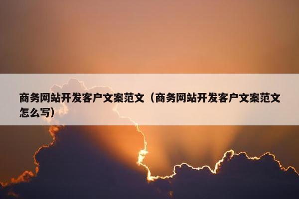 商务网站开发客户文案范文（商务网站开发客户文案范文怎么写）