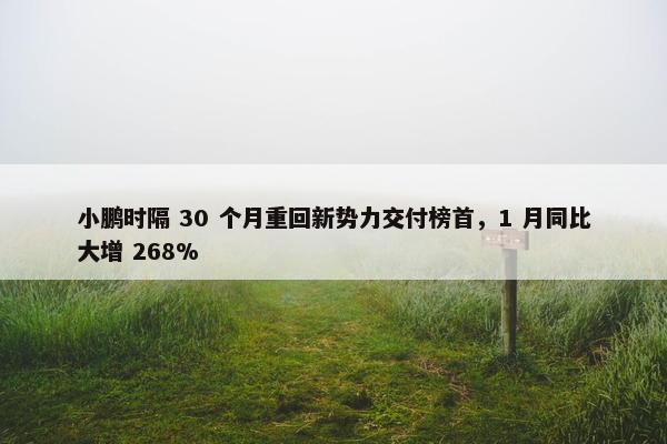 小鹏时隔 30 个月重回新势力交付榜首，1 月同比大增 268%