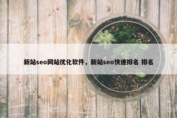 新站seo网站优化软件，新站seo快速排名 排名