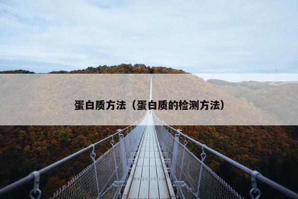 蛋白质方法（蛋白质的检测方法）