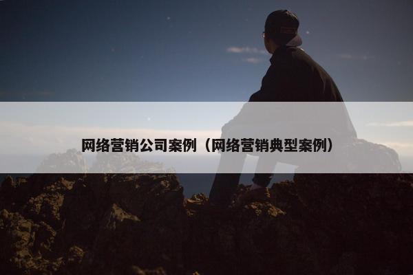 网络营销公司案例（网络营销典型案例）