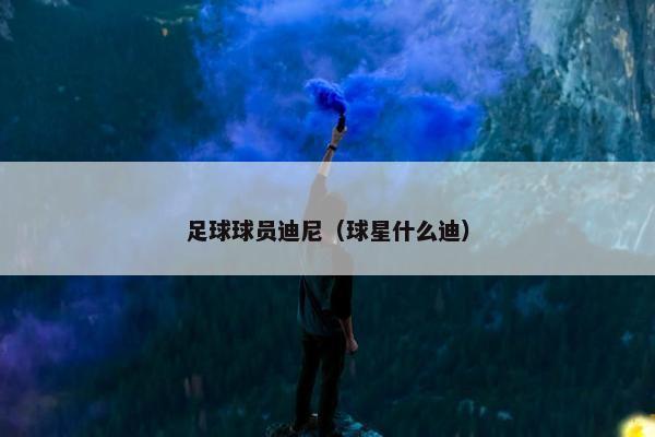 足球球员迪尼（球星什么迪）