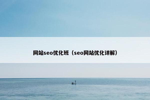 网站seo优化班（seo网站优化详解）