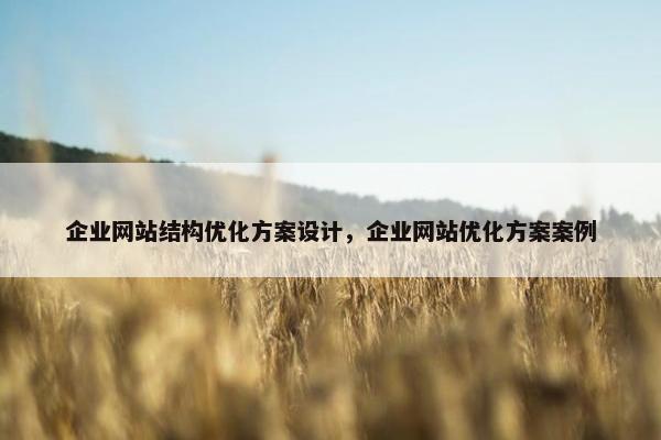 企业网站结构优化方案设计，企业网站优化方案案例