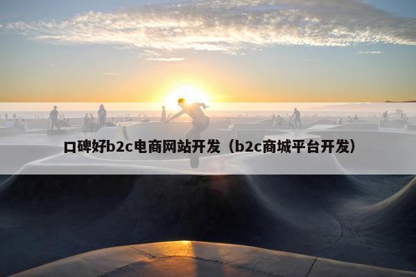 口碑好b2c电商网站开发（b2c商城平台开发）