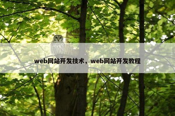 web网站开发技术，web网站开发教程