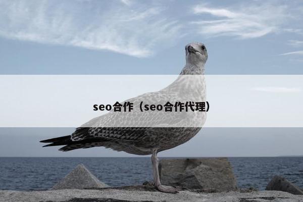 seo合作（seo合作代理）