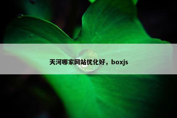 天河哪家网站优化好，boxjs